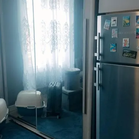 Flat Apartment